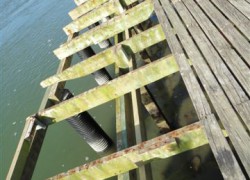 Pile & Dock Repair